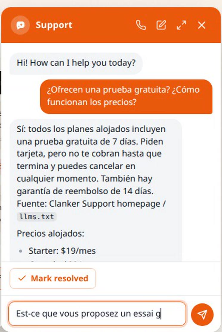 The support agent answering in Spanish — with the next question, in French, already being typed below